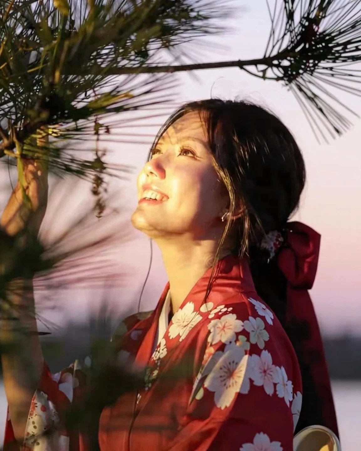 Red Kimono animated album preview